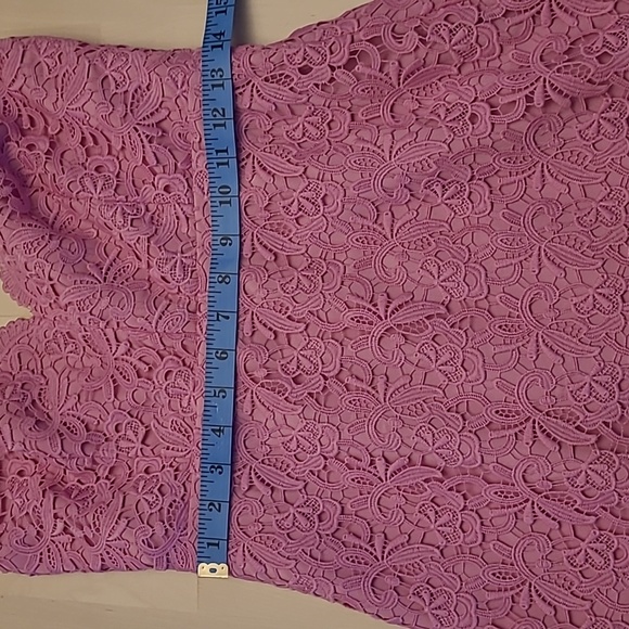 NWT J.Crew Guipure Pink Spaghetti Strap Lace Lined Scalloped Neckline/Hem Dress - Picture 16 of 17